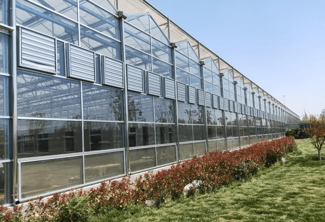 安徽桐城首个智能农业BOB盘口超级温室破土动工