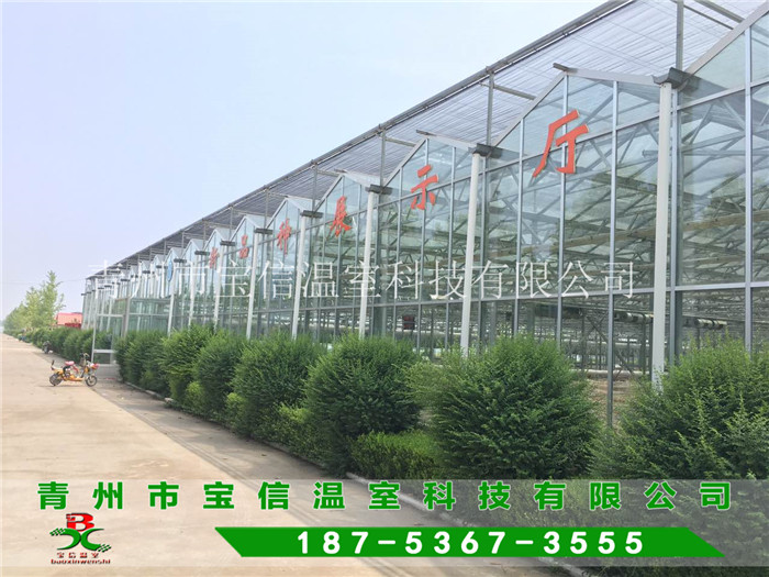 安徽桐城首个智能农业BOB盘口超级温室破土动工